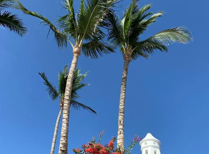 Appartamento Cosy Vue Piscine, Wifi, à 500 M