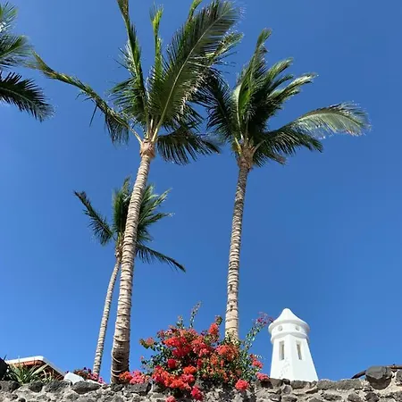 아파트 Cosy Vue Piscine, Wifi, A 500 M